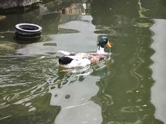 -镇江中国醋文化博物馆