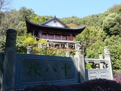 -十八棵（老龙井）御茶园(老龙井店)