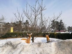 -威海天沐温泉度假区