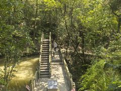 -宁波市保国寺古建筑博物馆