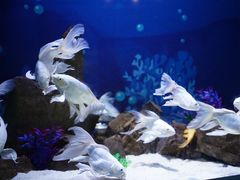 -绿色星球动物主题公园