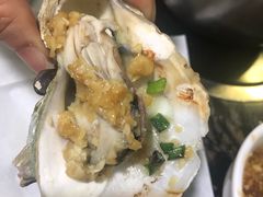 -蚝专家