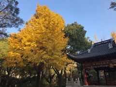 -汇龙潭