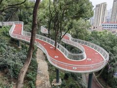 -金鸡山公园