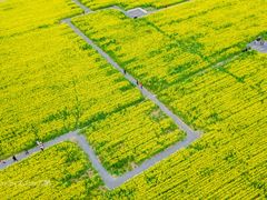 -汉长安城未央宫国家考古遗址公园