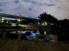 -宝安西湾红树林湿地公园