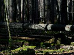 -柯尼希湖