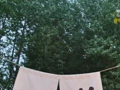 -林间山庄