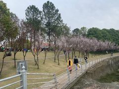 -美兰湖景区