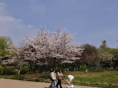 -采石矶景区