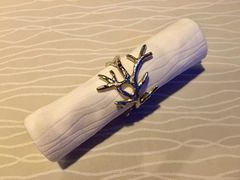 -迪拜帆船酒店海底餐厅