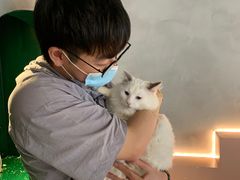 -猫儿山۰猫主题餐厅