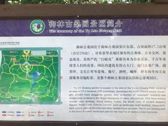 -御林古桑园
