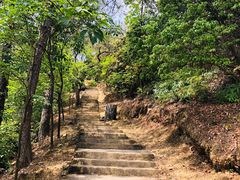 -风云岭森林公园