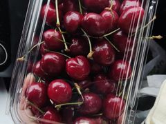 -百果园PAGODA(中铭豪园店)