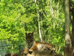 -秦皇岛野生动物园