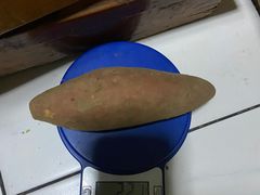 -贵州森林野生动物园