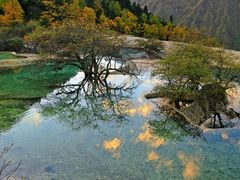 -黄龙山原始森林景区