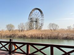 -太湖湖滨国家湿地公园-停车场