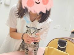 -爱诺耐芙动物医院(万博店)