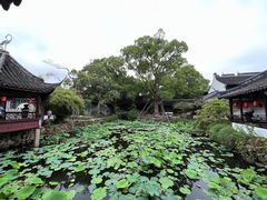 -上海醉白池公园