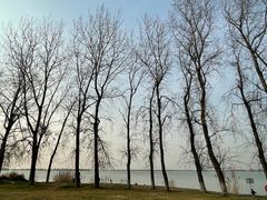 -漕湖湿地公园