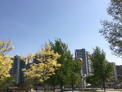 -太阳宫公园