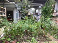 -顺德美食坊(南沙分店)