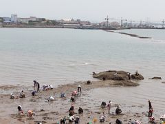 -红岛休闲渔村