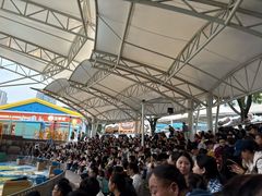 -海合安成都极地海洋公园