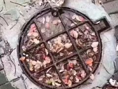 -纽斯桑拿会所(天山店)