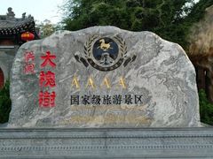 -大槐树寻根祭祖园
