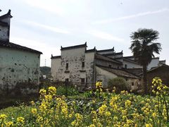 -婺源月亮湾