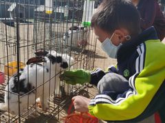 -前小桔亲子创意农场·草莓采摘·露营烧烤