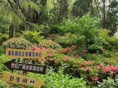 -浦东市民中心-停车场