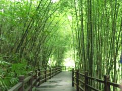 -赤水丹霞旅游区·佛光岩