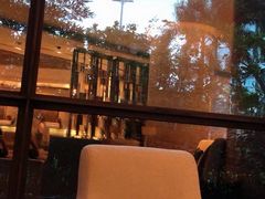 -湛江民大喜来登酒店-采悦轩中餐厅