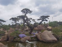 -罗红摄影艺术馆