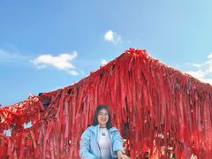 -秦岭终南山世界地质公园翠华山景区