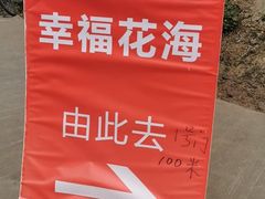 -秀丽东方