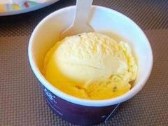 -东吴霸王兔(松青路店)