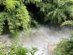-川西竹海景区