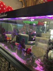 -可爱多国际儿童摄影会馆(龙泉店)