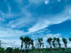 -大财主(庐山店)