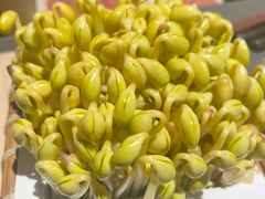 -巴奴毛肚火锅(二七万达店)