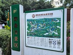 -野象谷景区