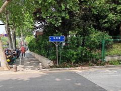 -紫金山山顶公园