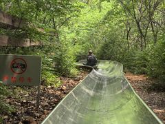 -富斯特索道