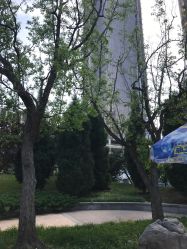 -大望京儿童游乐场