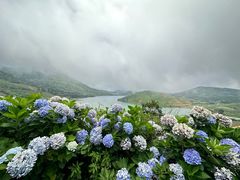 -嵛山岛
